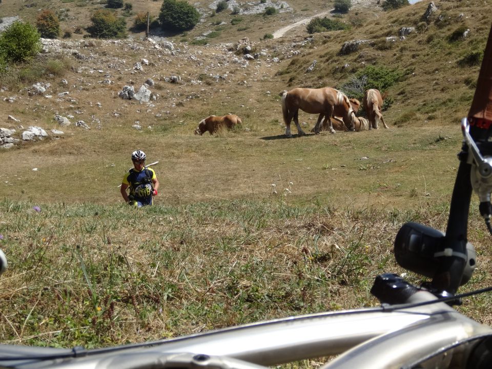 GARDA Mont Baldo - foto povečava