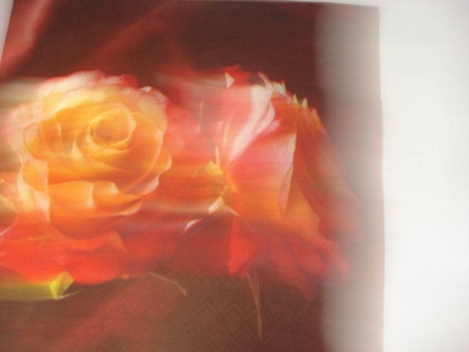 Servetki-vrtnice - foto povečava