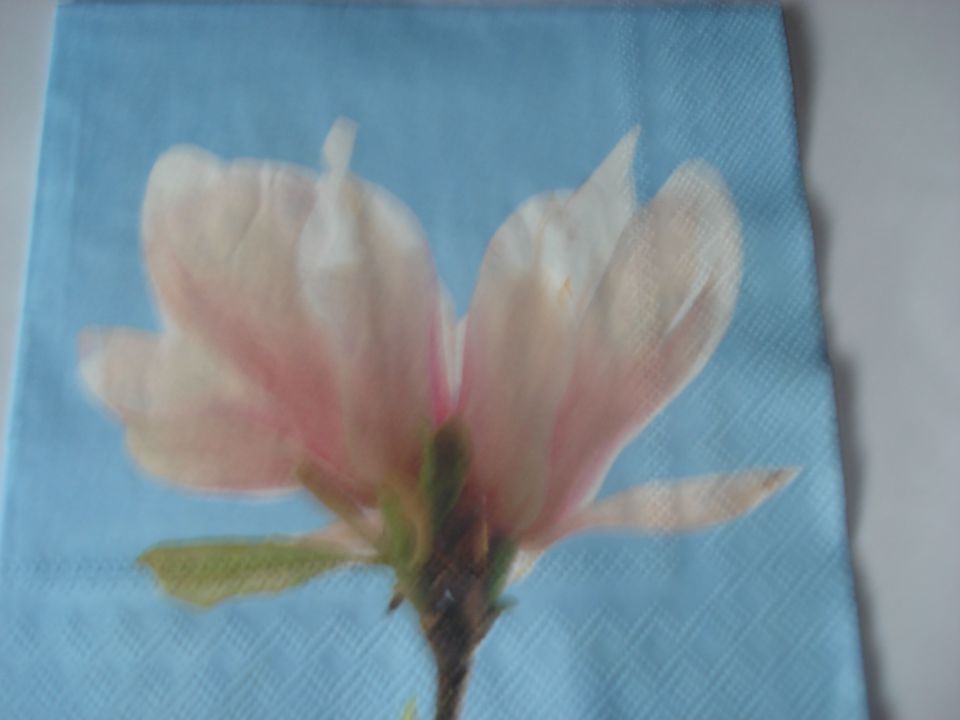 Servetki-različne rože - foto povečava