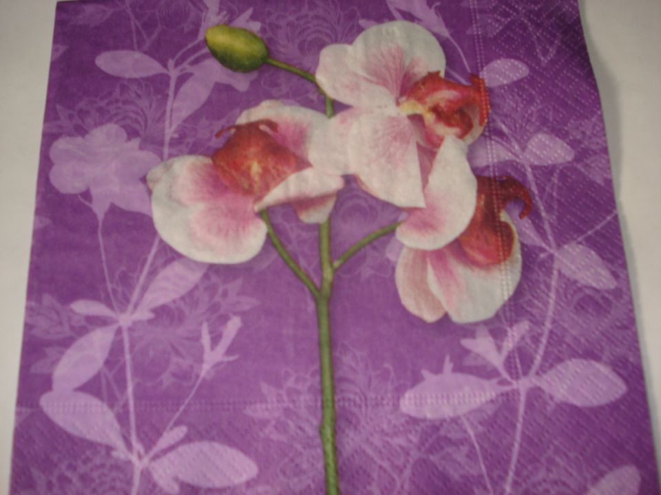 Servetki-orhideje - foto povečava