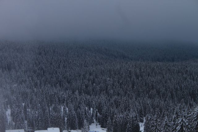 Pravljična januarska Rogla - foto