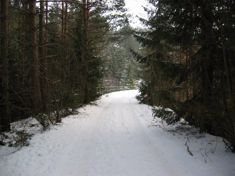 Zimski utrinki s proge Velenje - Dravograd - foto povečava