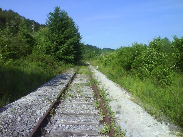 Sveti rok ob sotli -Meja by blaz kuzner - foto