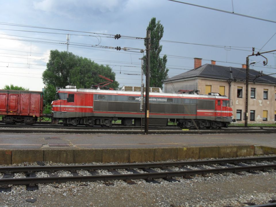 Celje-hodoš by blazy - foto povečava