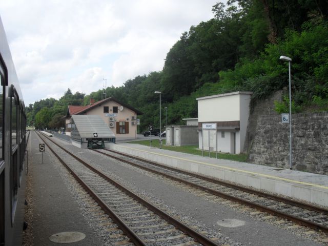 Celje-hodoš by blazy - foto