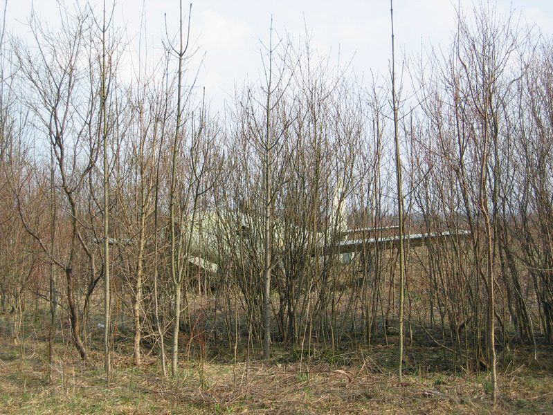 Zabranjen pristup, osmatranje i snimanje - foto povečava