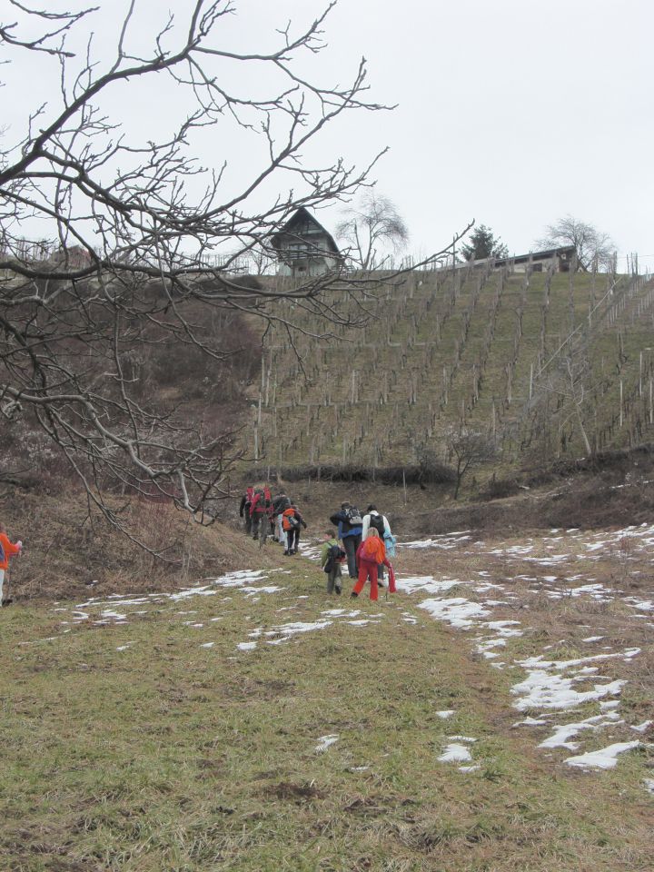 07. februar 2009 - foto povečava