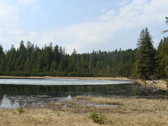 13. marec 2009  - foto povečava