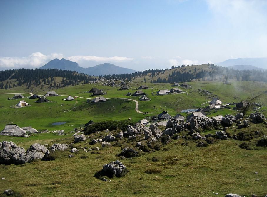 24. avgust 2010 - foto povečava