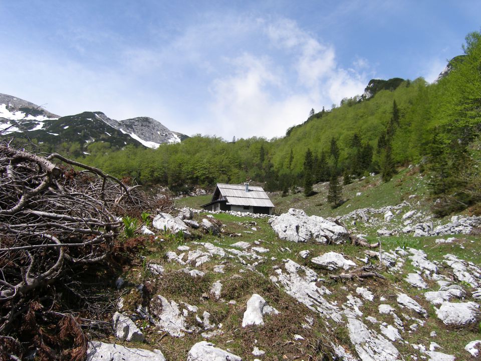 Planina Suha