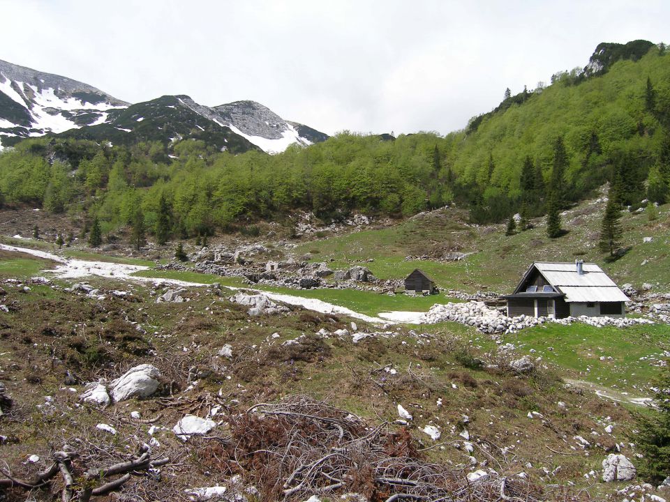 Planina Suha