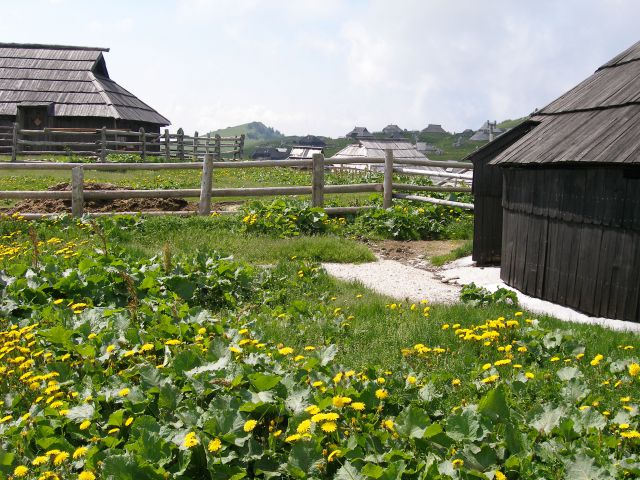 Velika planina