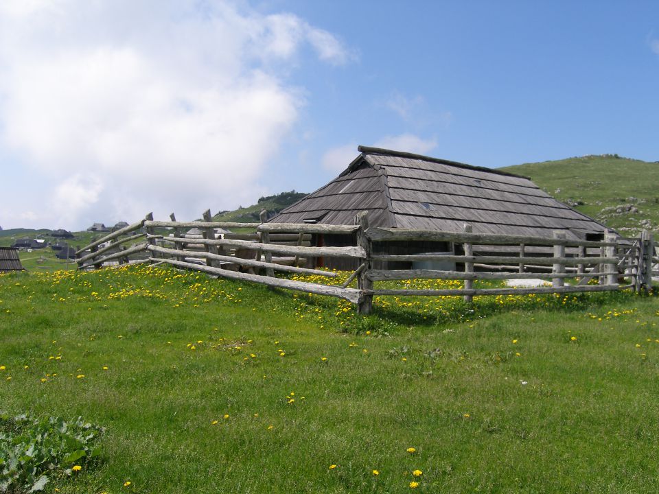 Velika planina