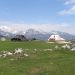 Velika planina