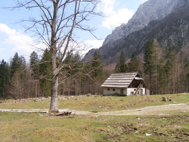 Robanov kot
