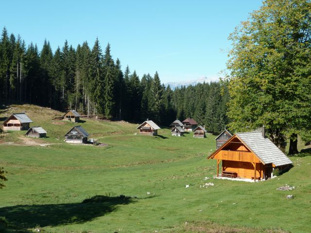 Jelovica