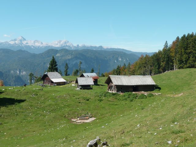 Jelovica