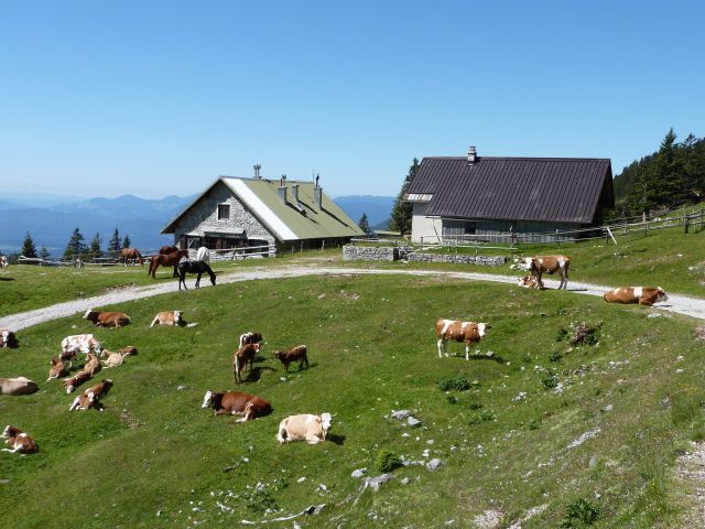 Planina Sija,21.06.2011