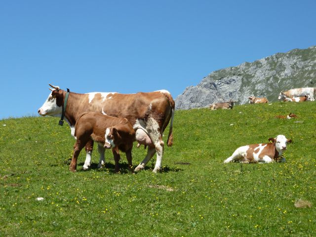 Planina Kofce, 21.06.2011
