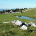 Planina Biba, 16.08.2011