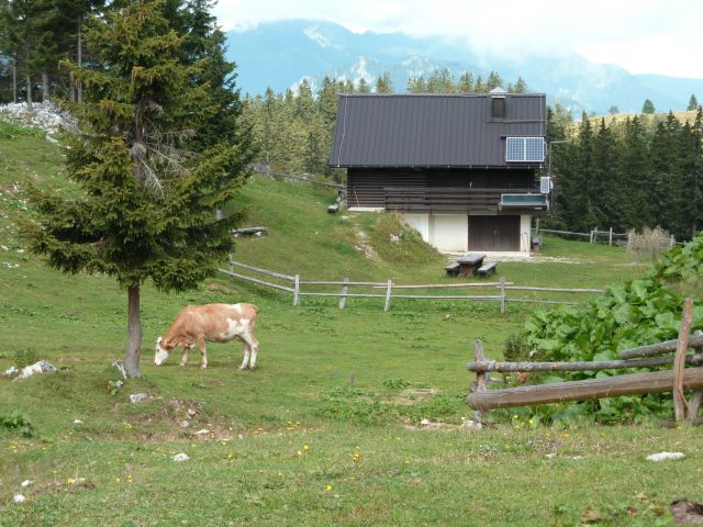 Planina Gospodnji stan, 16.08.2011