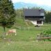 Planina Gospodnji stan, 16.08.2011