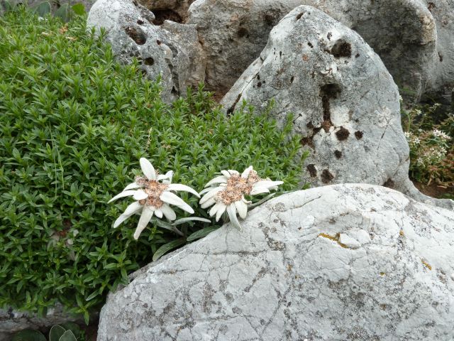 Planina Biba, 16.08.2011