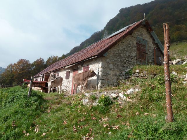 Planina Medrje, 7.10.2014