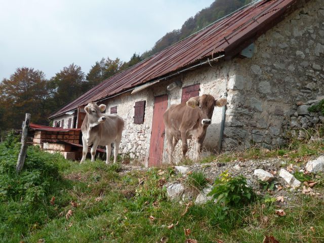 Planina Medrje, 7.10.2014