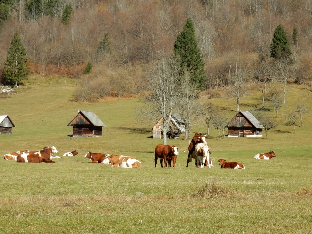 Planina Voje, 27.09.2017