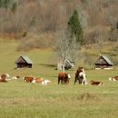 Planina Voje, 27.09.2017