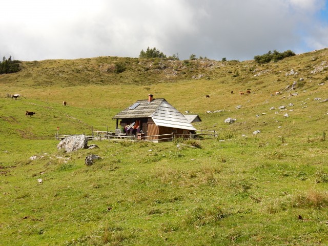 Planine - foto
