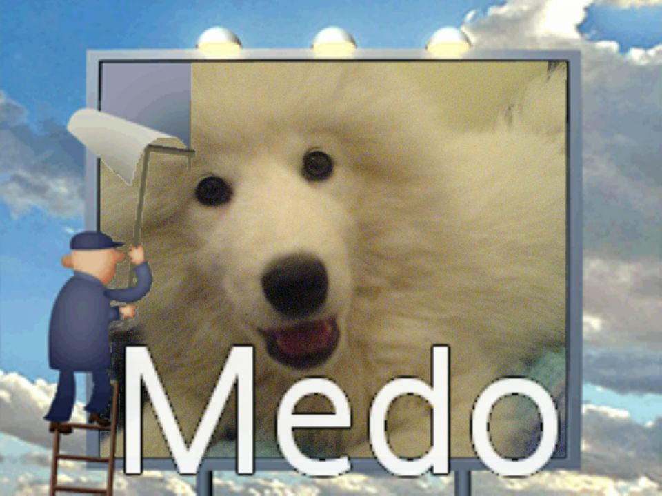 Medo bella - foto povečava