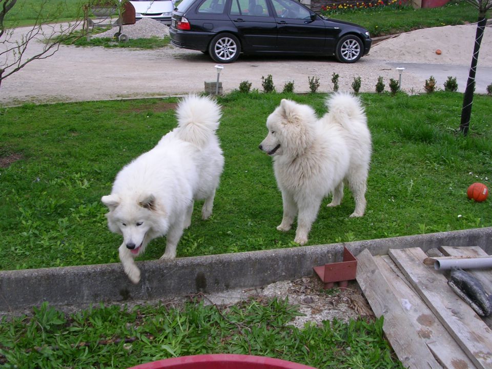 NALA, MEDI in BELLA - foto povečava
