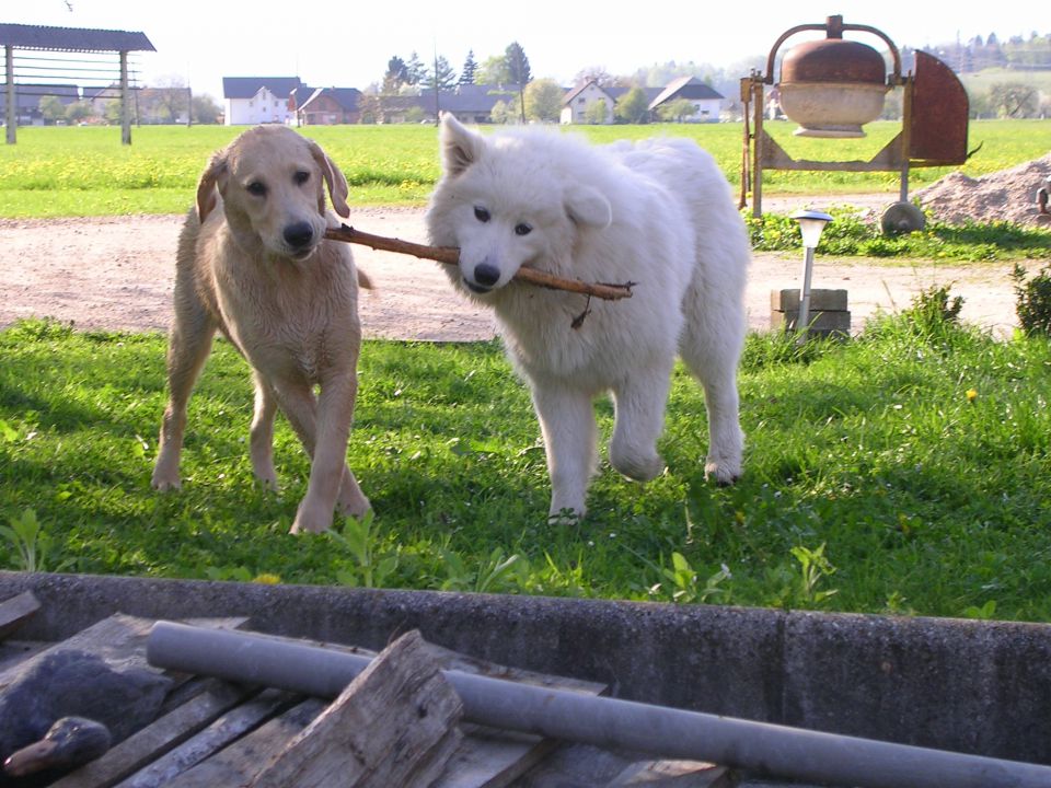 NALA, MEDI in BELLA - foto povečava