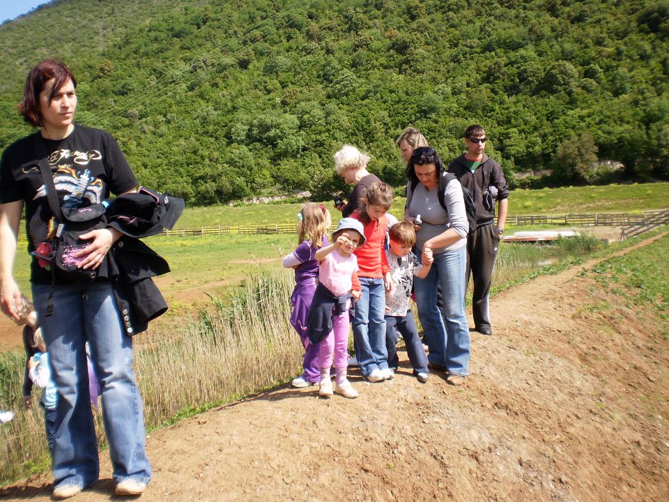 Svašta pomalo - foto povečava