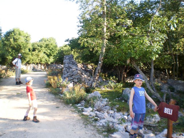 Cres i lošinj, 3. dan - foto