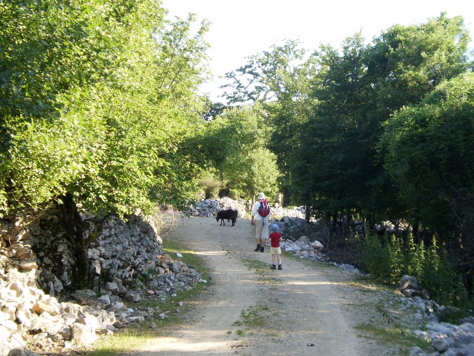 Cres i lošinj, 3. dan - foto povečava