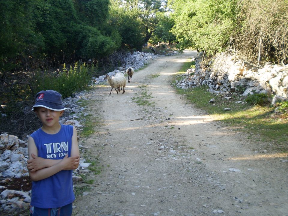 Cres i lošinj, 3. dan - foto povečava