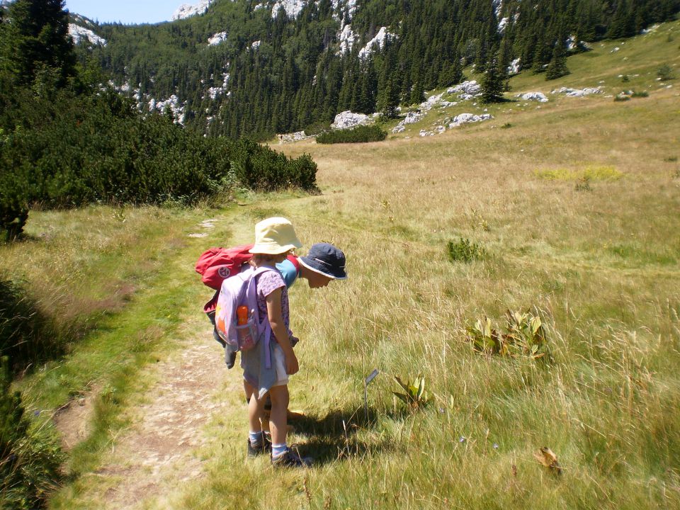 Ljeto 2011. 1. dio - foto povečava