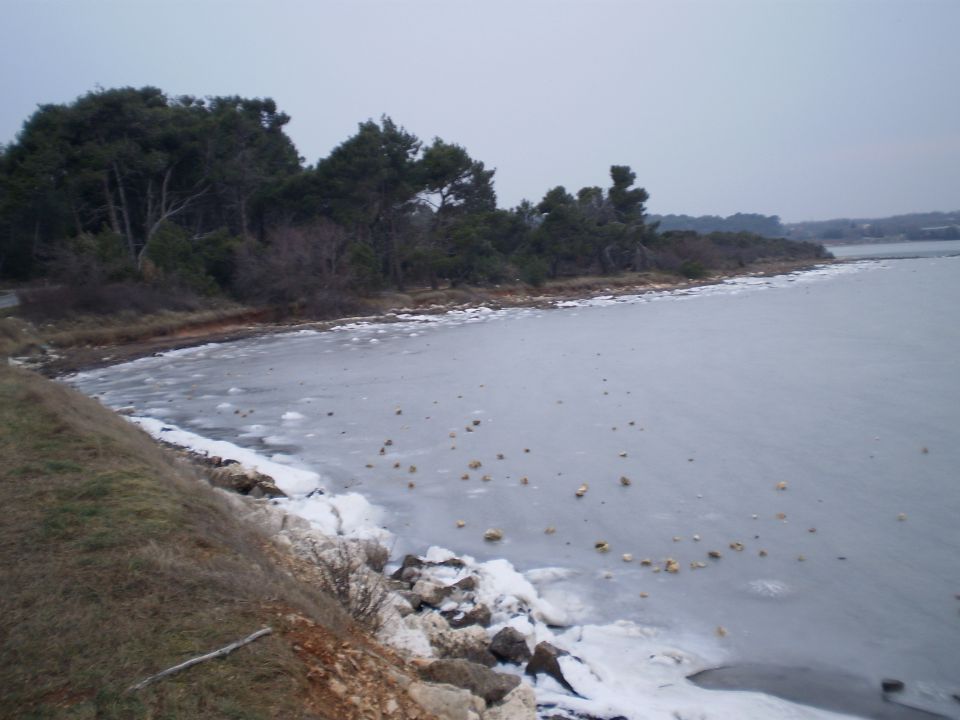 Zima 2012 - foto povečava