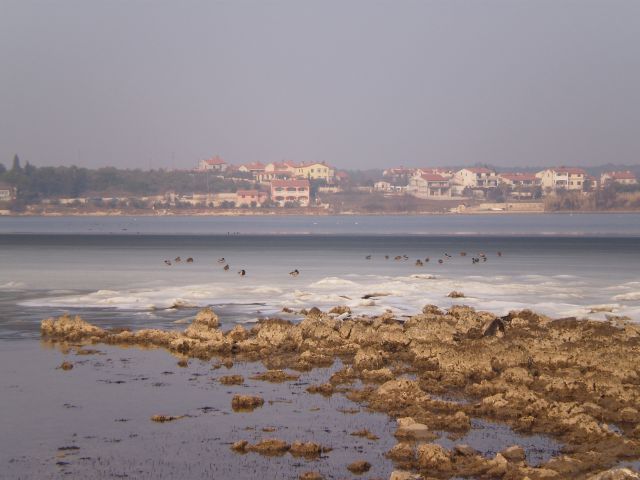 Zima 2012 - foto