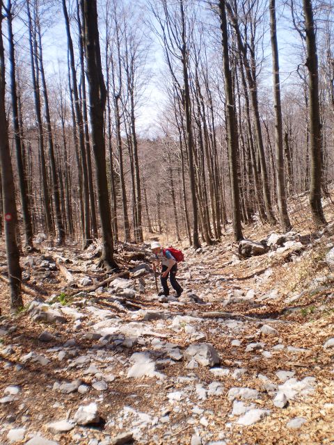 Platak - Snježnik - Risnjak - Platak  - foto