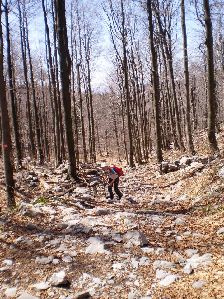 Platak - Snježnik - Risnjak - Platak  - foto povečava