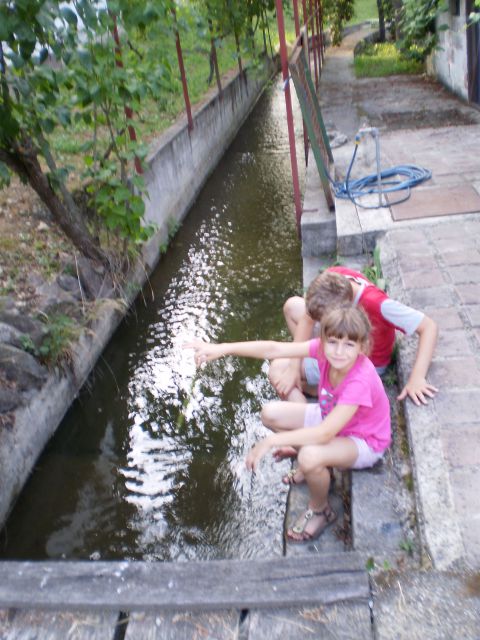 Avgust 2012 - foto