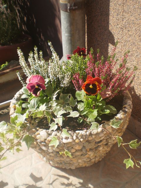 Oktober 2012 - foto