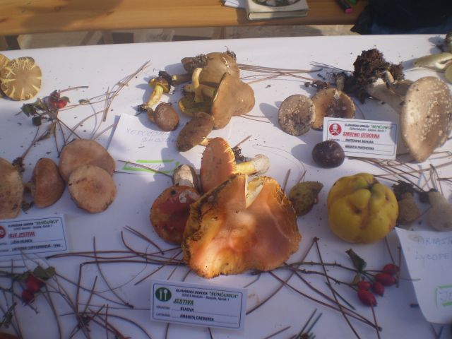 Oktober 2012 - foto