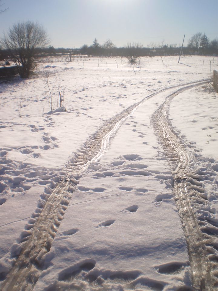 December 2012 - foto povečava