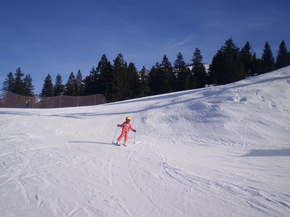 Januar 2013 - foto povečava