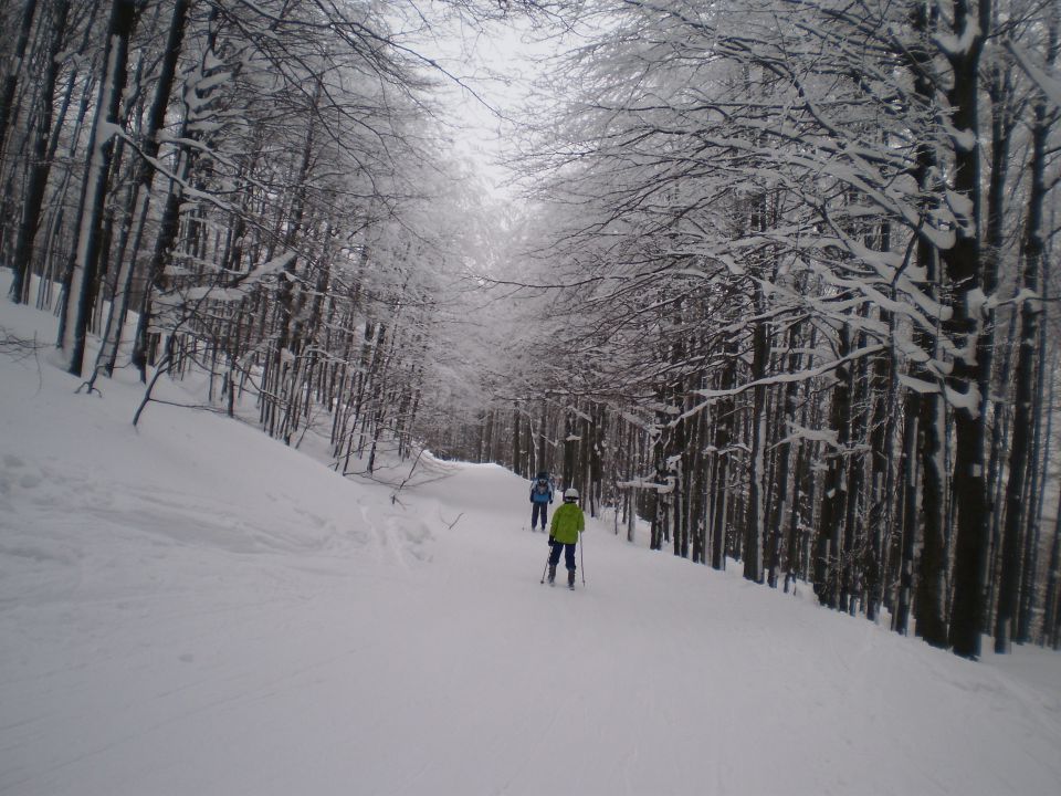 Februar 2013 - foto povečava